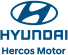 logo-hy